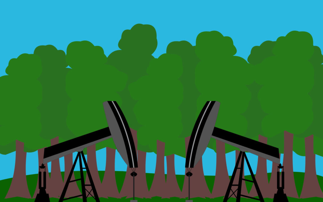 Amicus Curiae: Rechazamos el tratado Ecuador–Emiratos Árabes Unidos por reintroducir arbitraje internacional