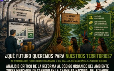 Los peligros de los mercados de carbono que se discute en la Asamblea Nacional del Ecuador y alternativas
